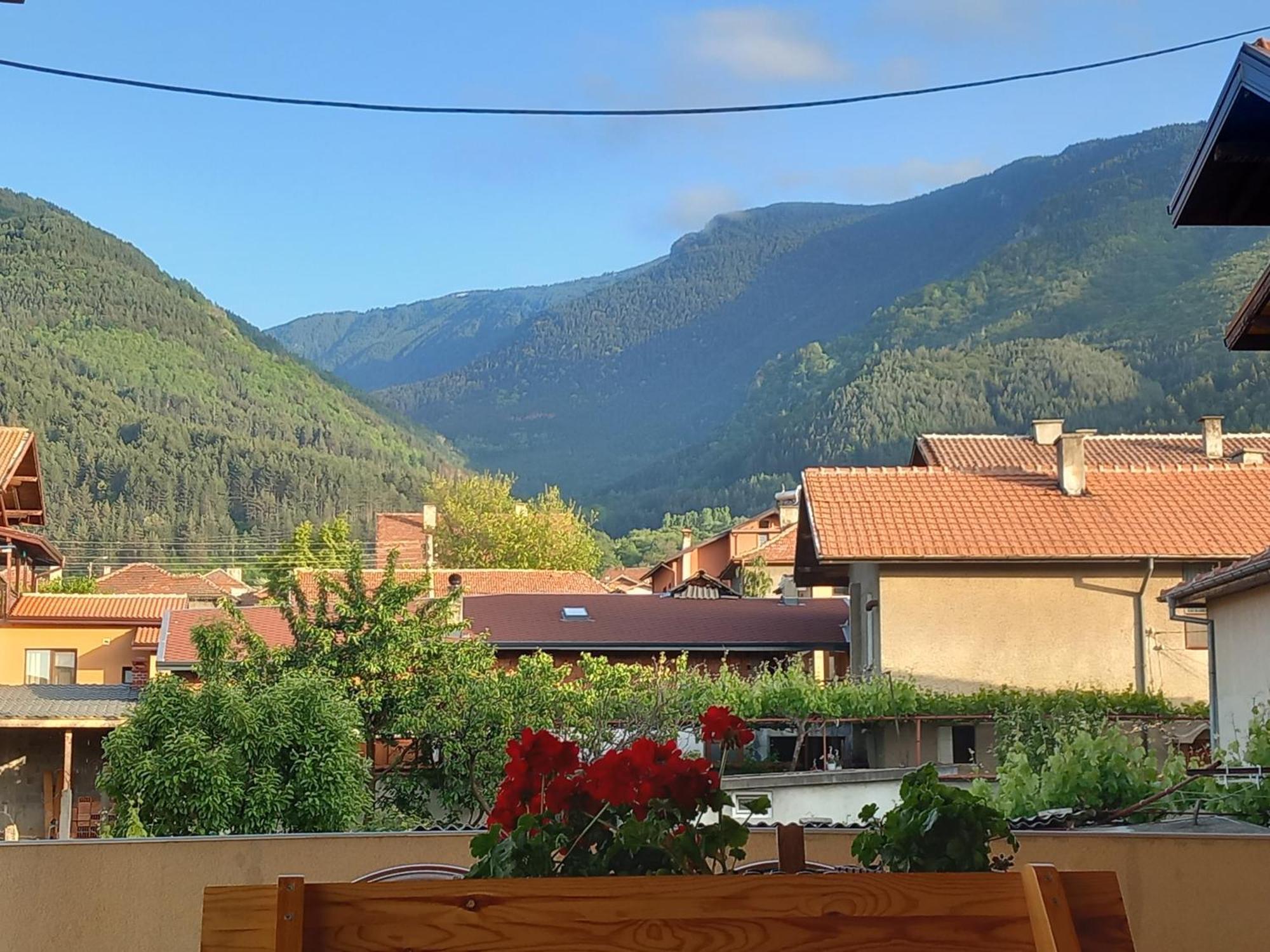 Vibo Guesthouse Sapareva Banya Bagian luar foto