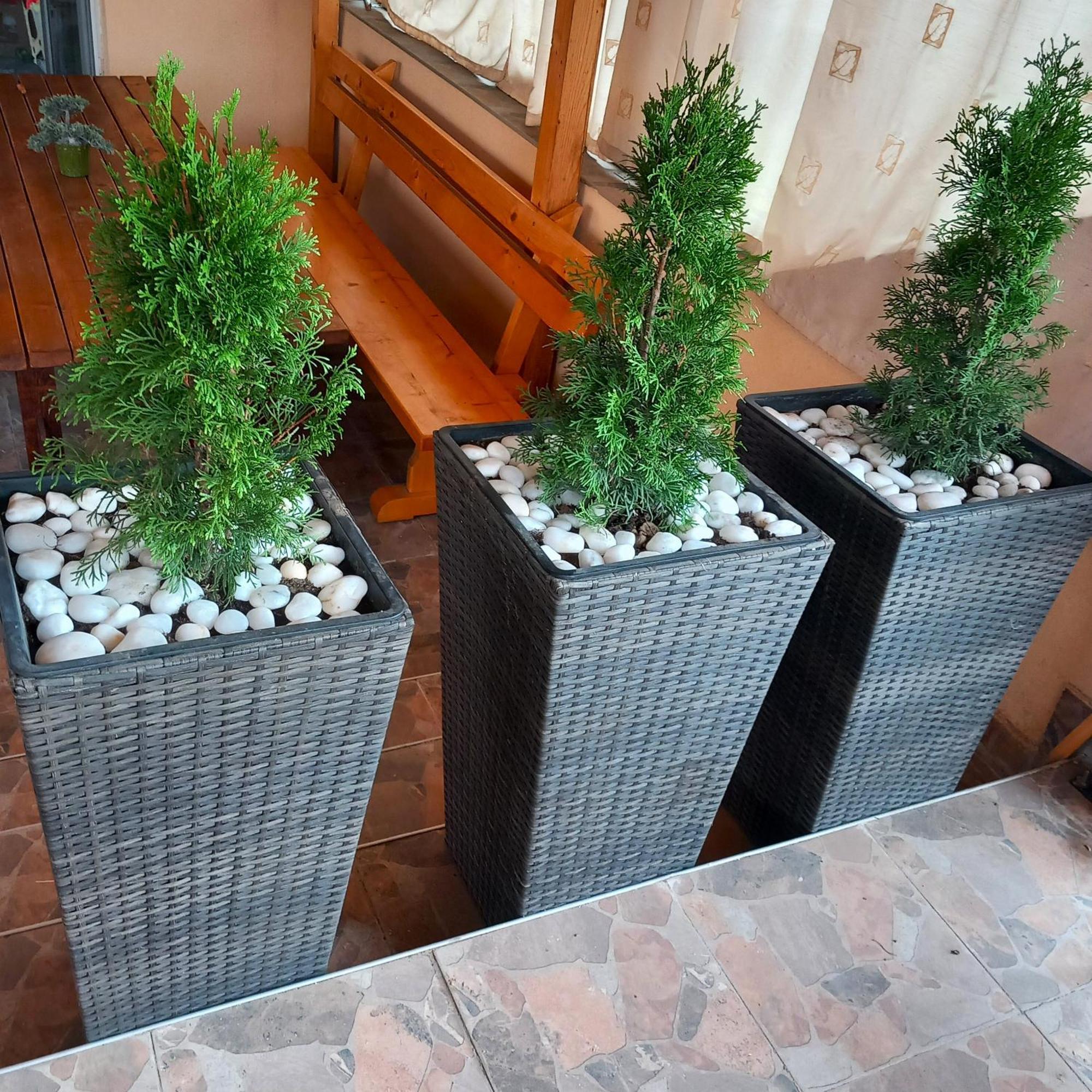Vibo Guesthouse Sapareva Banya Bagian luar foto